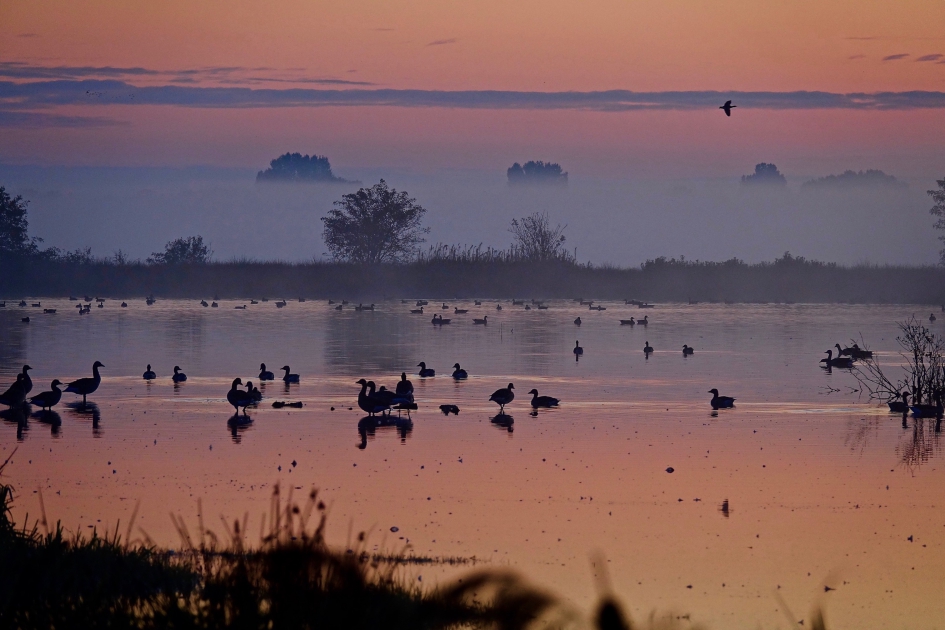 Even voor Zonsopgang #Puzzel - Weer en landschap - 