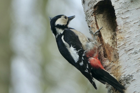 Lawaaiige Bouwvakker