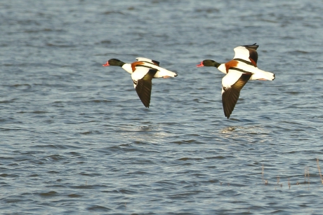 onderweg naar morgen