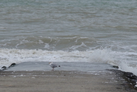 op dezelfde golflengte zitten