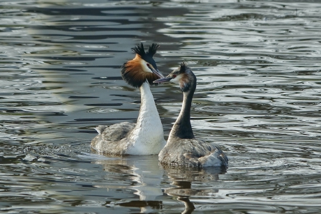 Opwinding in prachtkleed