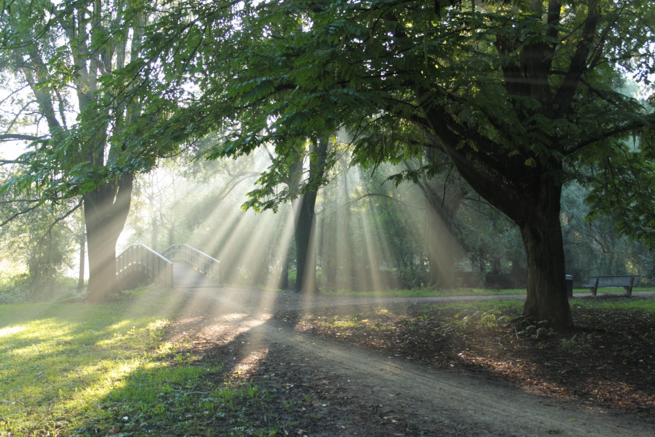 #puzzel  stralend natuurschoon - Weer en landschap - 