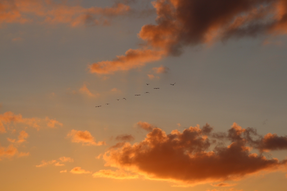 #puzzel  Zonsondergang - Weer en landschap - 