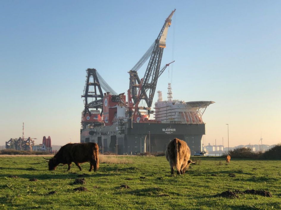 #PUZZEL HET CONTRAST TUSSEN DE RIVIEREN - Zoogdieren - 