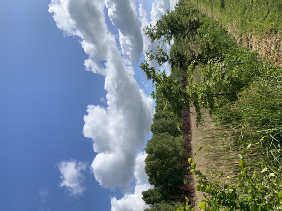 Puzzelfoto - Weer en landschap - 