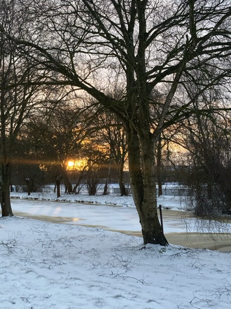 Zondagochtend in het Twiske - Weer en landschap - 
