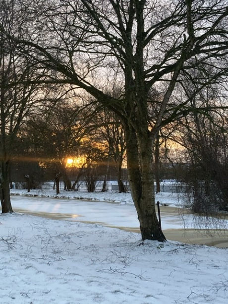 Zondagochtend in het Twiske