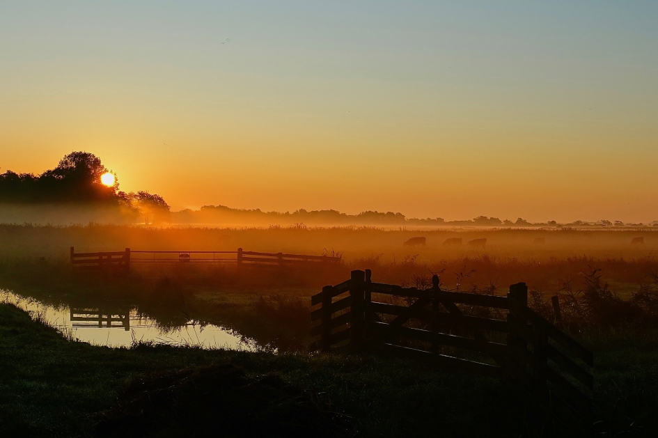 Zonsopgang #Puzzel - Weer en landschap - 
