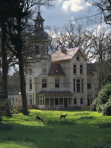 Groevenbeek met 2 reeen