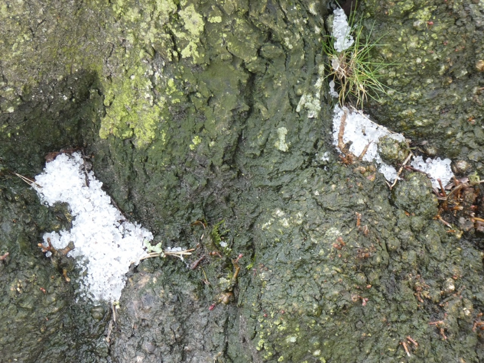 Hagel aan de voet... - Weer en landschap - 