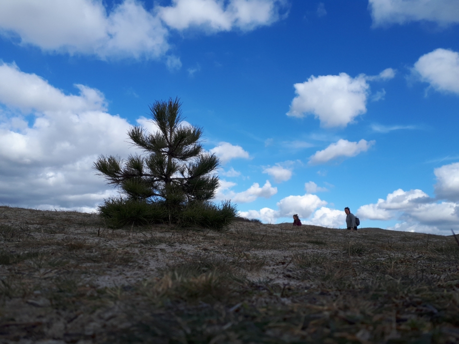 Helemaal alleen (bijna) - Weer en landschap - 