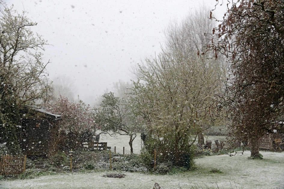 Lente 2021 - Weer en landschap - 