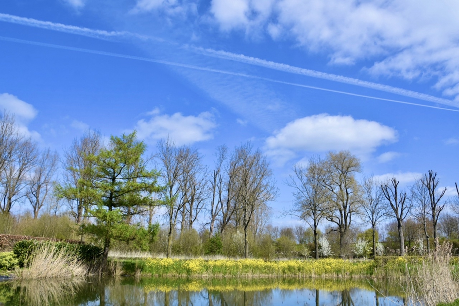 Vijver langs het Amsterdam Rijnkanaal - Weer en landschap - 