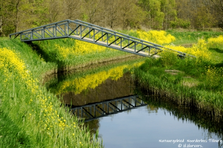 Natuurgebied Noorderbos Tilburg