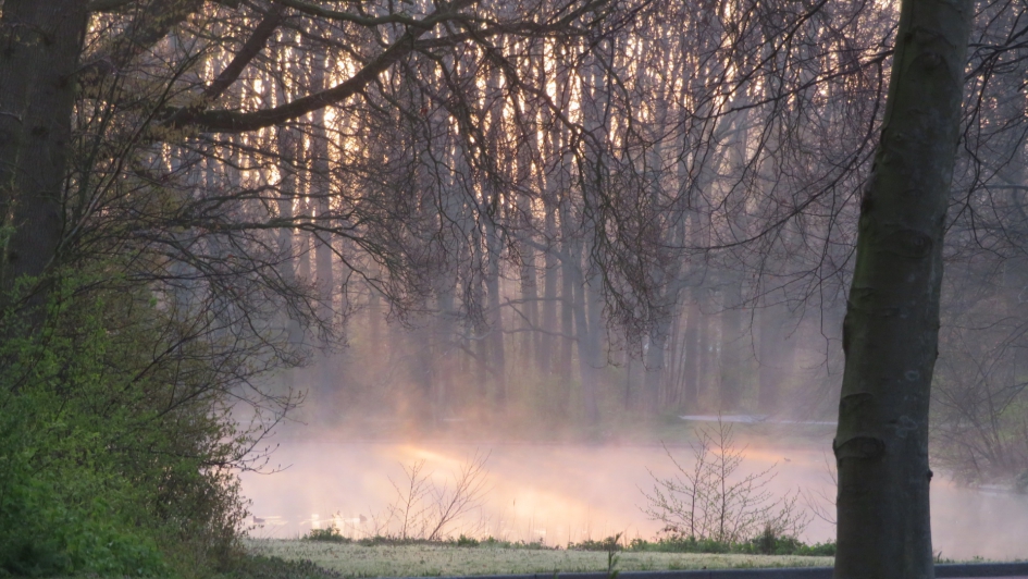 ochtendnevel - Weer en landschap - 