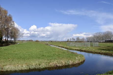 Vanmiddag in de polder!