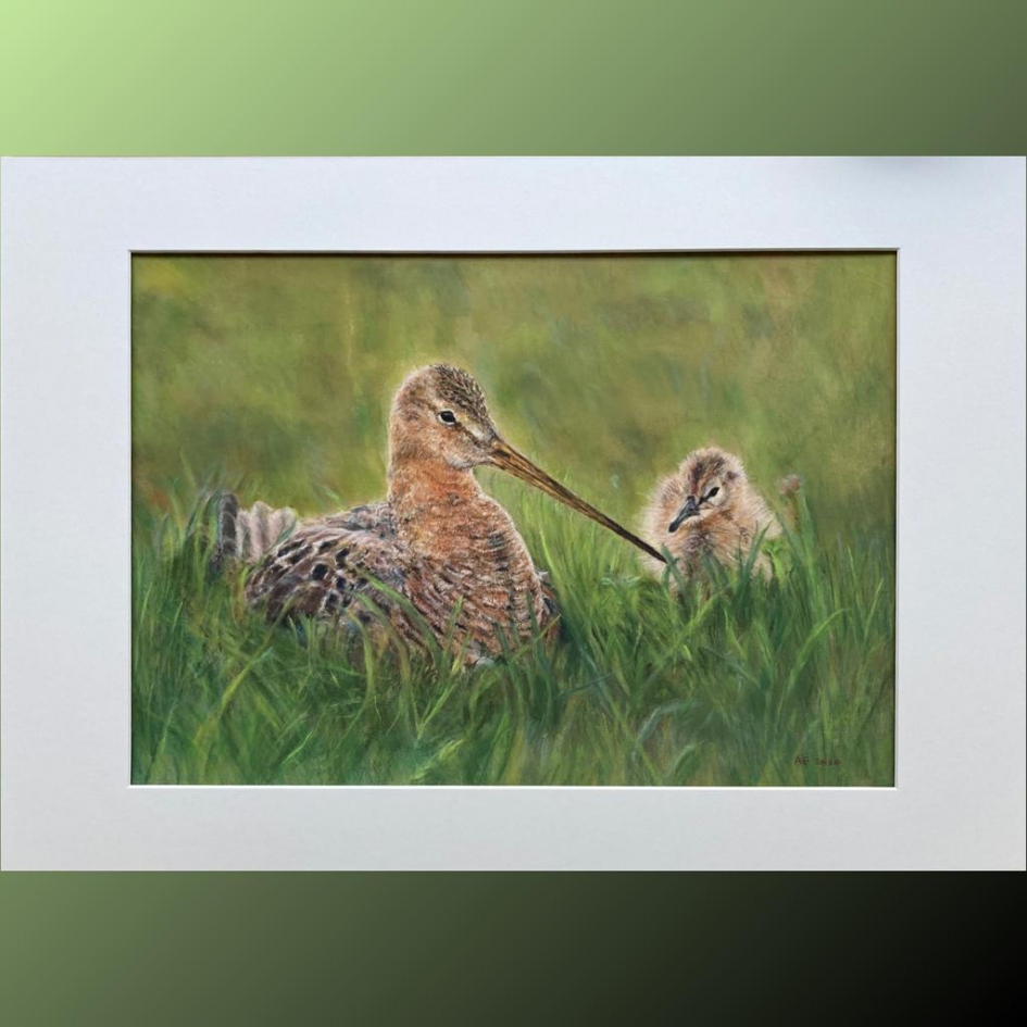 Schilderij Grutto met jong in pastel - Vogels - Grutto