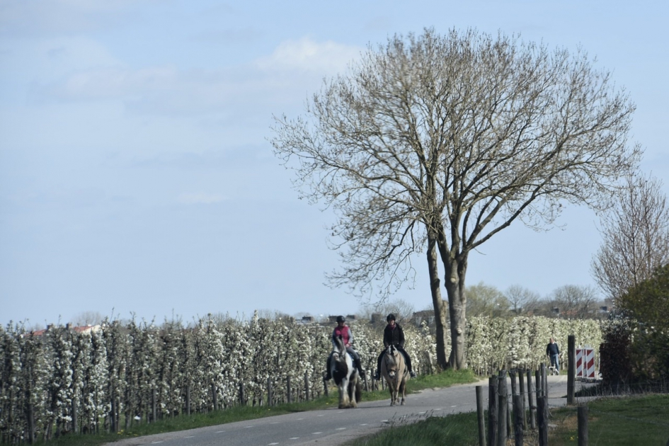 Tussen de bloesem - Weer en landschap - 