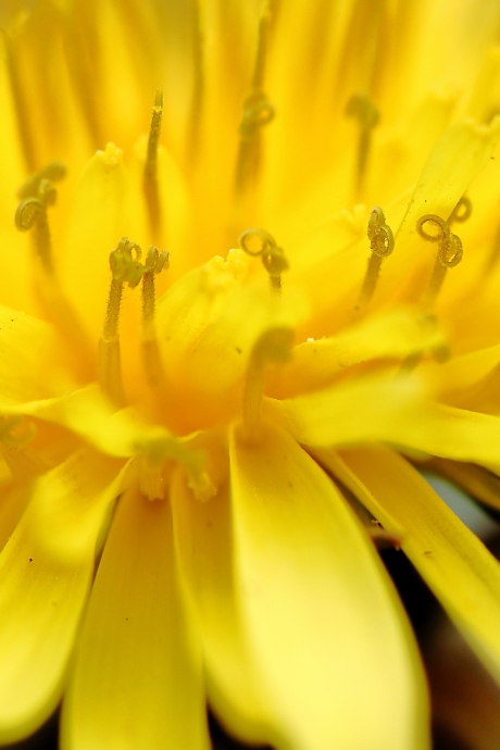 in geuren en kleuren