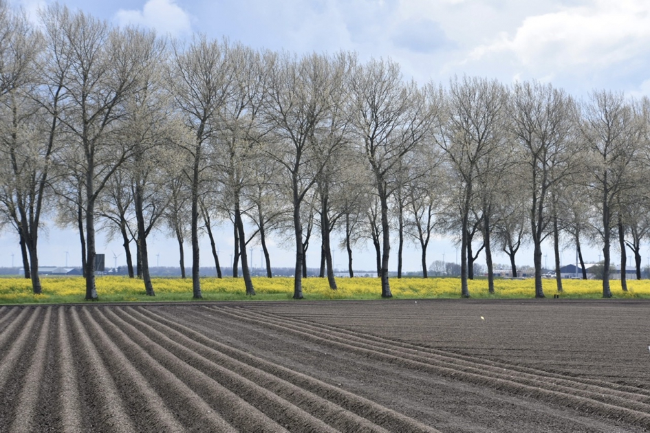 Kunstwerk - Weer en landschap - 