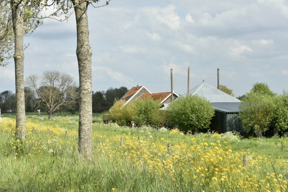 Langs de Nieuweweg - Weer en landschap - 