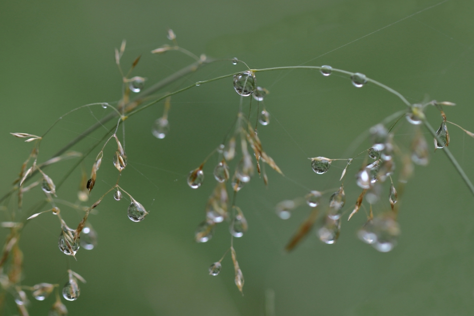 nattigheid - Weer en landschap - 