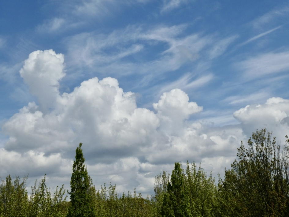 Vanmiddag - Weer en landschap - 