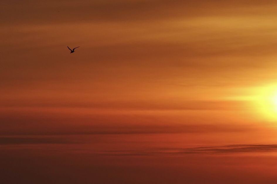 Avond aan zee - Weer en landschap - 