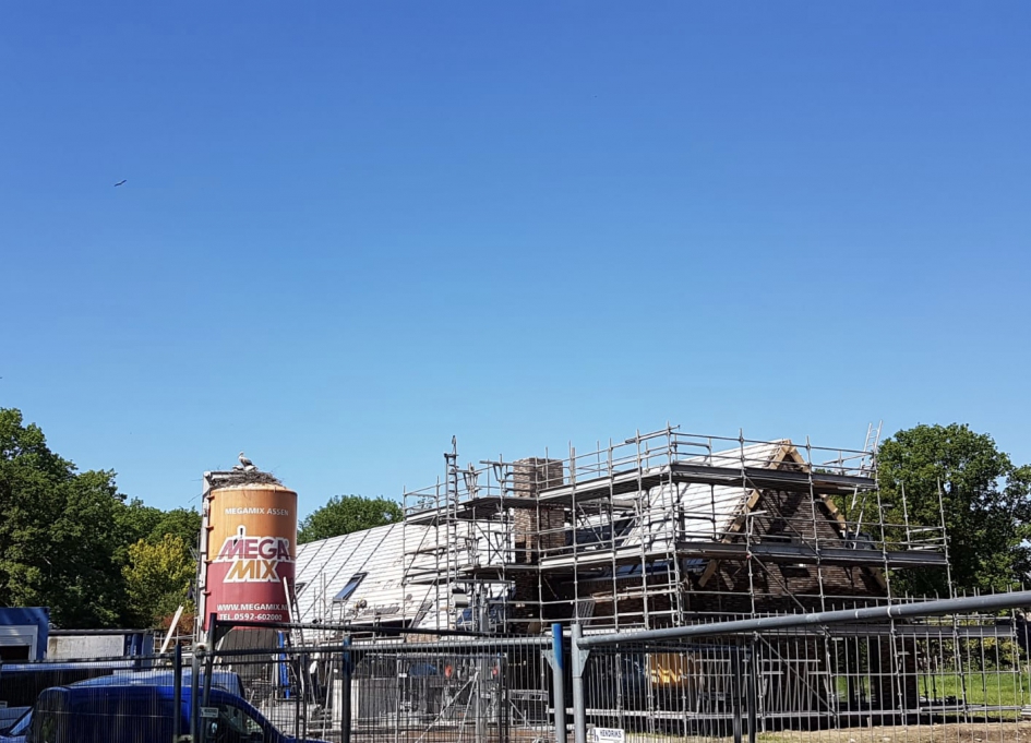 Bizarre plek voor een ooievaarsnest - Vogels - Ooievaar