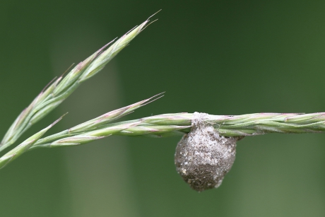 Feeënlampjes - foto 2 van 2-