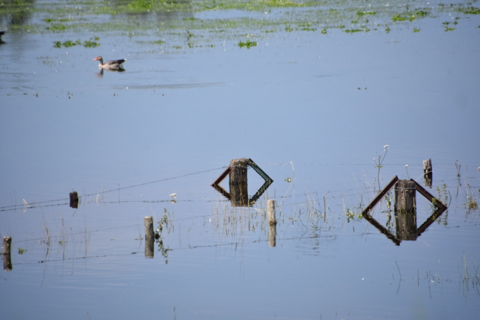 Hoog water 2 - Weer en landschap - 