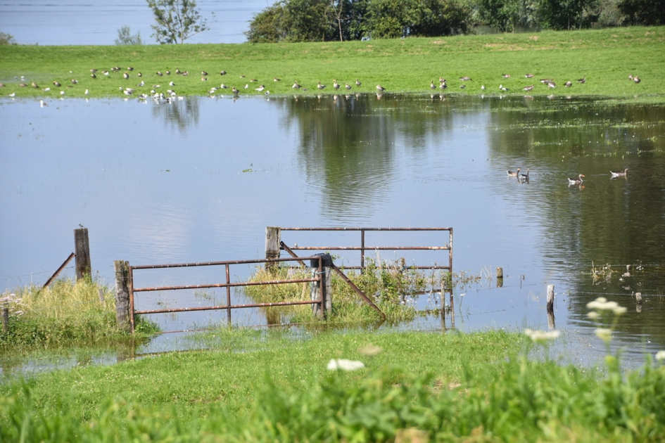 Hoog water 3 - Weer en landschap - 
