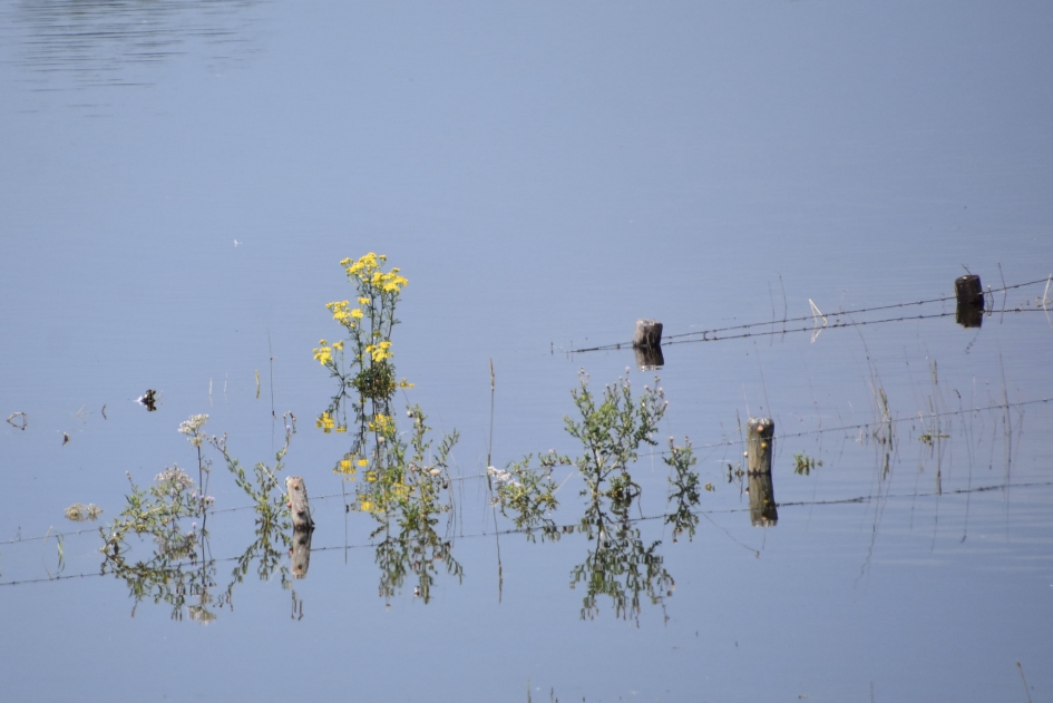 Hoog water - Weer en landschap - 