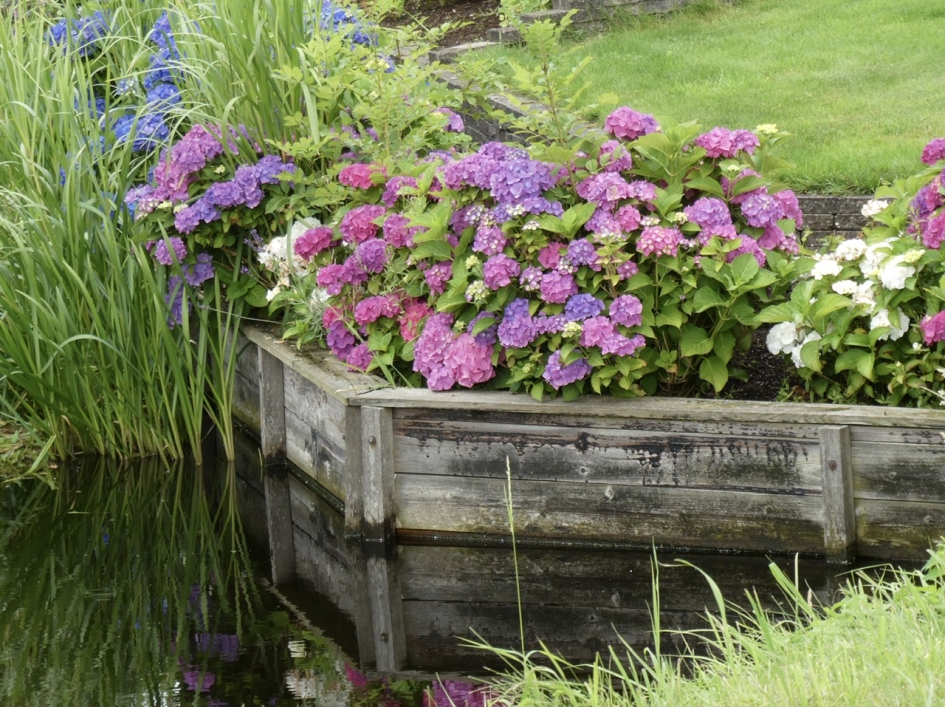 Alle kleuren - Planten - 