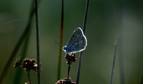 De eerste warme zonnestralen