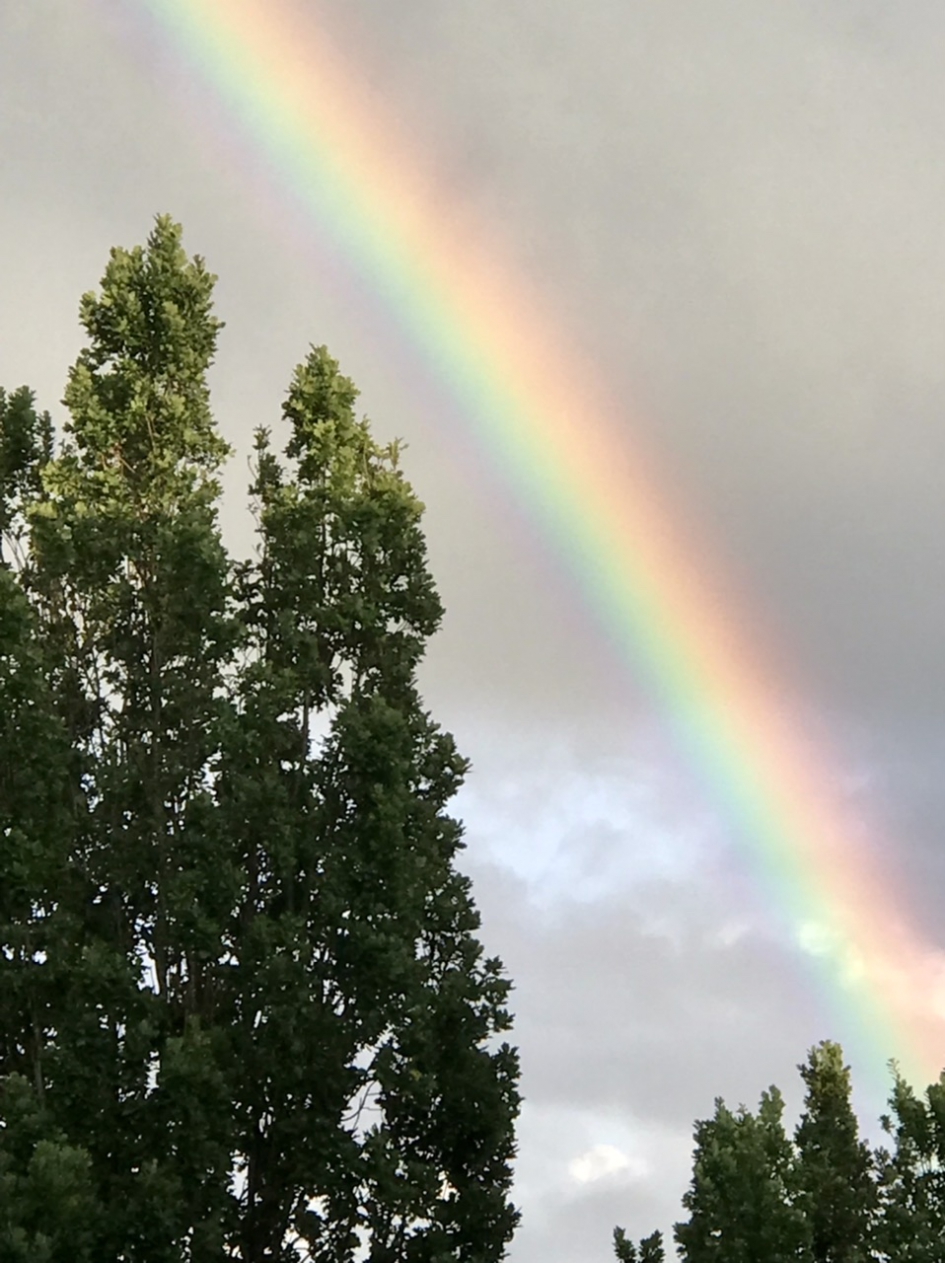 Detail regenboog - Weer en landschap - 