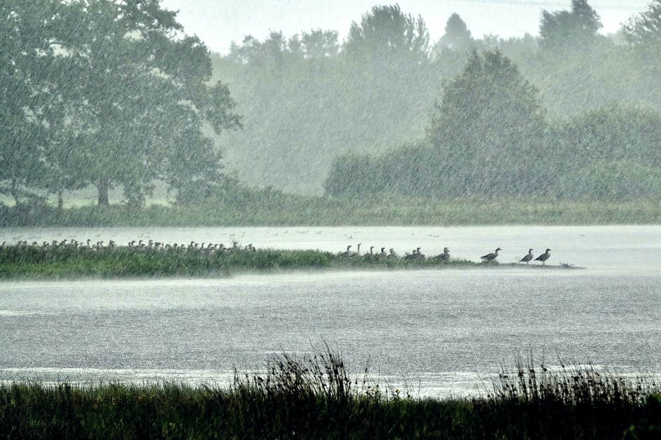 Overvallen door een stortbui - Weer en landschap - 