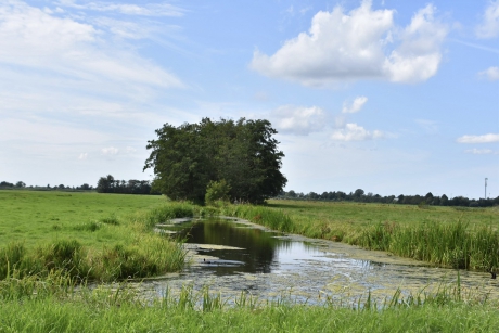 Polder
