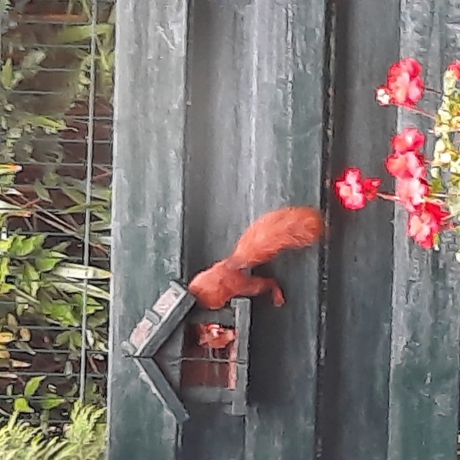 Wie komt er in mijn huisje.