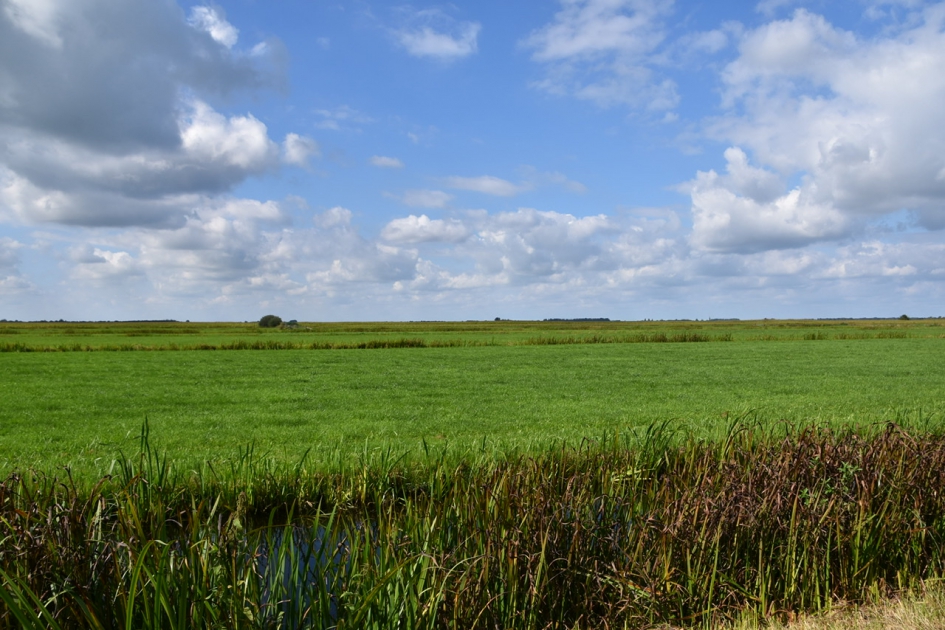 Leeg - Weer en landschap - 