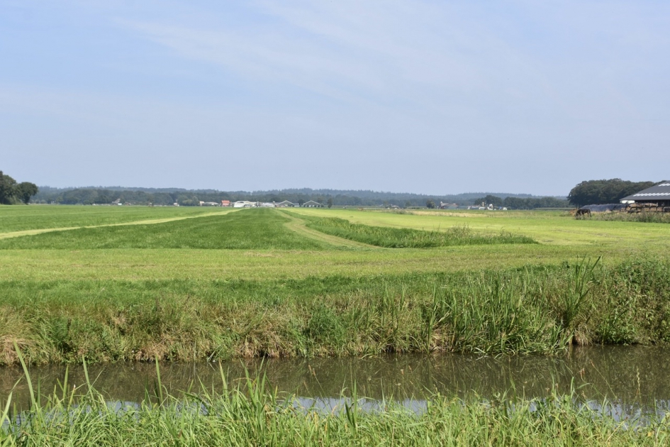 Nieuwe maai phylosofie - Weer en landschap - 