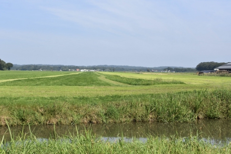 Nieuwe maai phylosofie