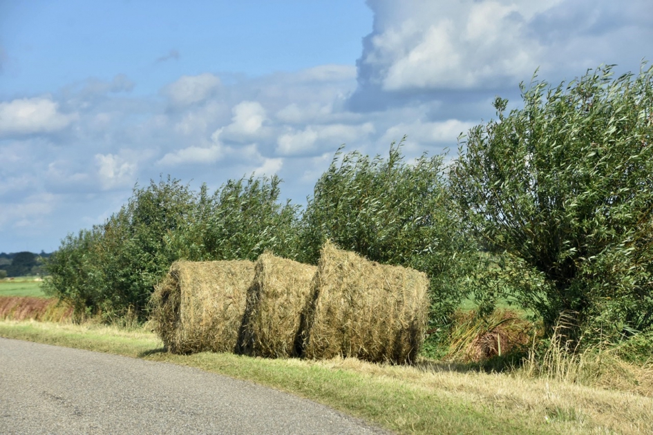 Overal was gemaaid! - Weer en landschap - 