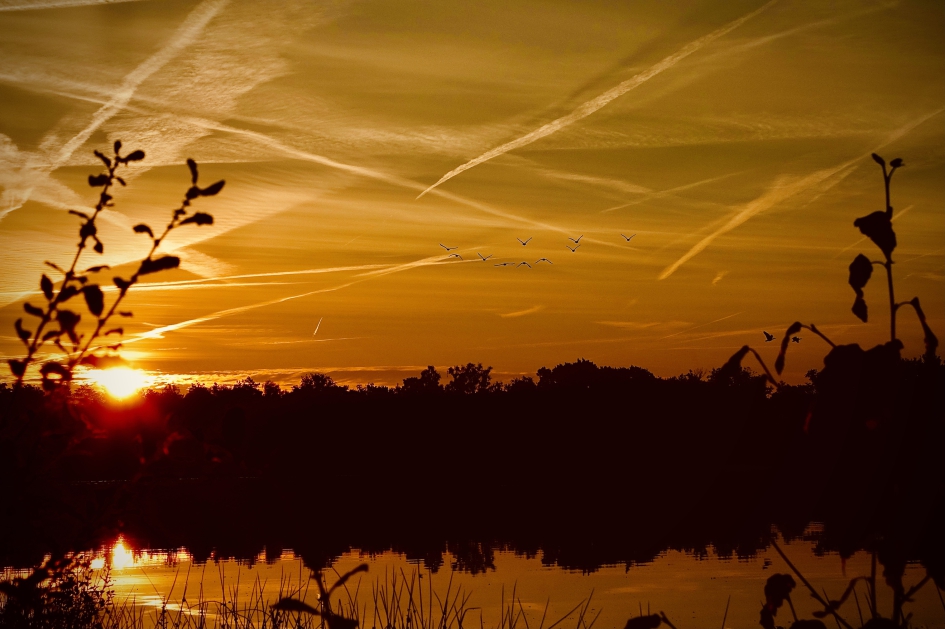 Hazenputten ontwaakt - Weer en landschap - 