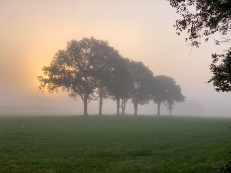 Mooi in de mist