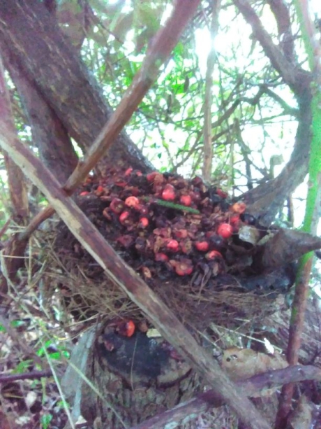 Voorraad voor de winter