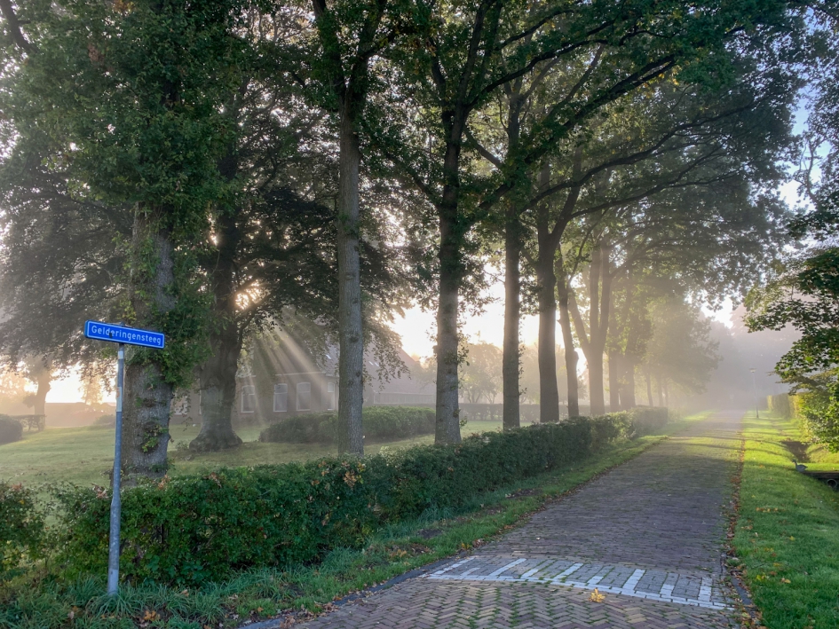 Zonnestralen - Weer en landschap - 
