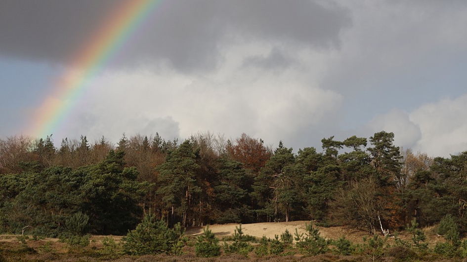Aan het einde van de regenboog.... - Weer en landschap - 
