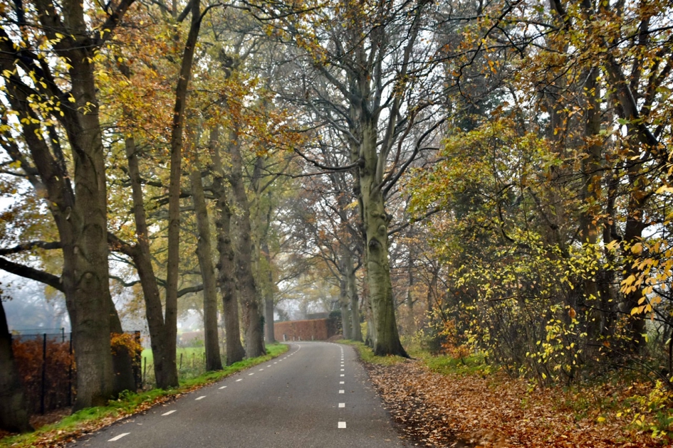 Door de voorruit - Weer en landschap - 
