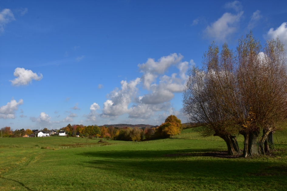 Herfst - Weer en landschap - 